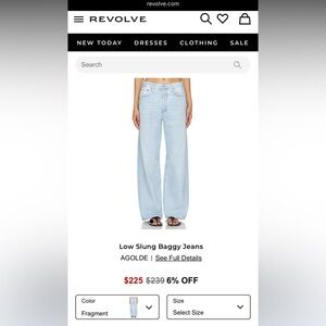 Agolde Low Slung Baggy in Fragment